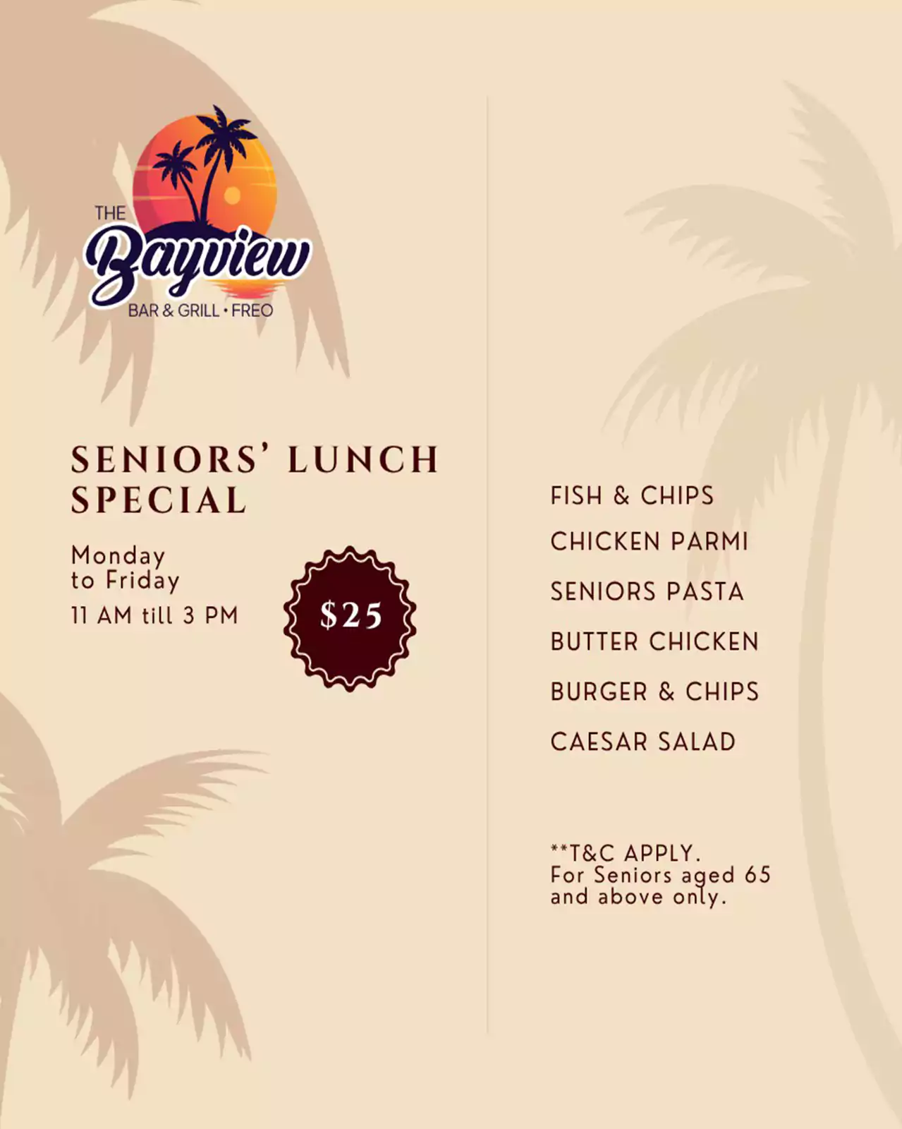 Bayview Seniors Lunch Special